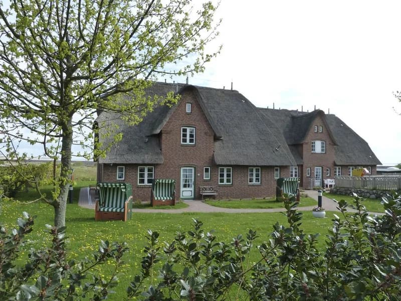 Hüs Waasluuper: Silbermöwe