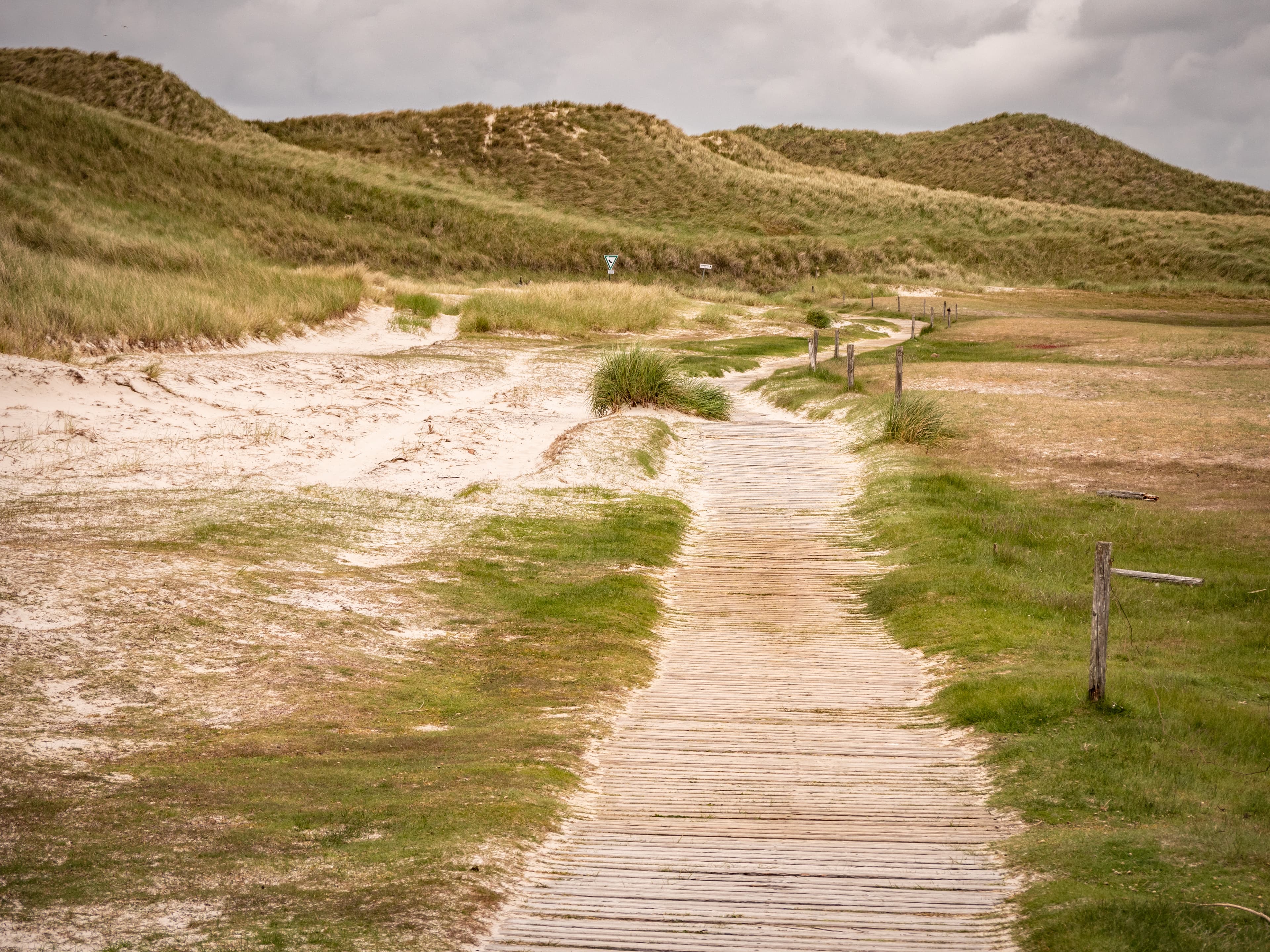 Dune landscape near Norddorf on Amrum